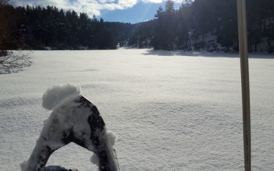 Raquette en Aubrac