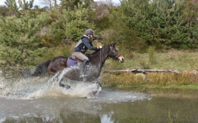 Balade à cheval