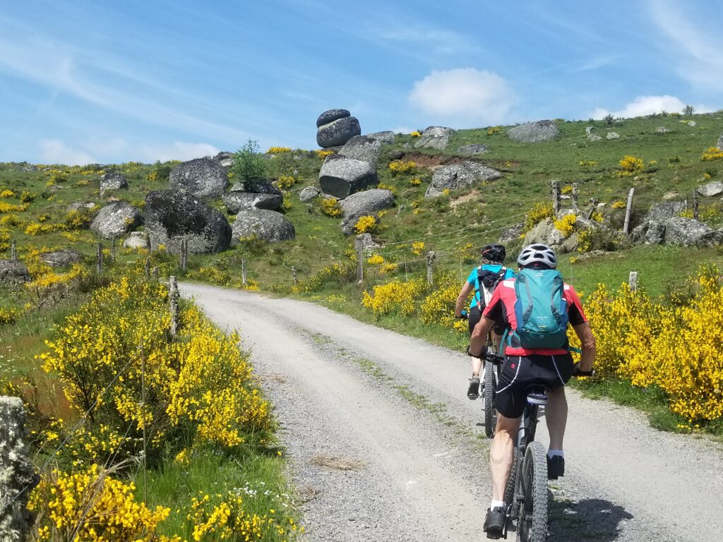 Vtt sur l'Aubrac
