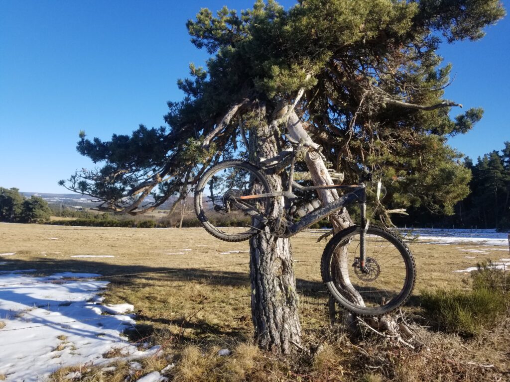 VTT terrain de jeu